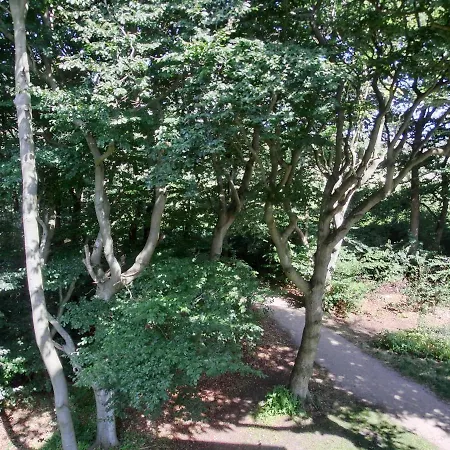 W18 2 N Graal-Mueritz