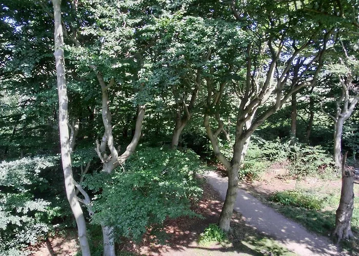 W18 2 N Graal-Mueritz